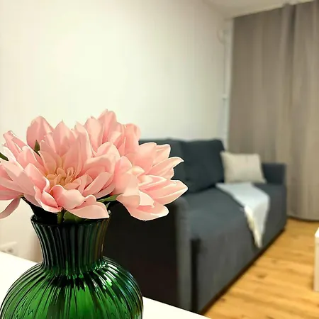 Up In Apartment Bucharest